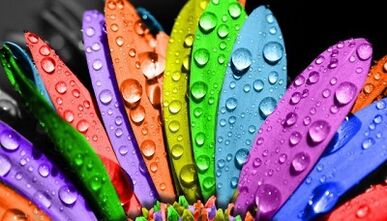 Как похудеть с помощью диеты «6 лепестков»